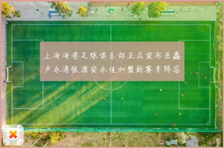 上海海港足球俱乐部正式宣布岳鑫卢永涛张源安永佳加盟新赛季阵容更新