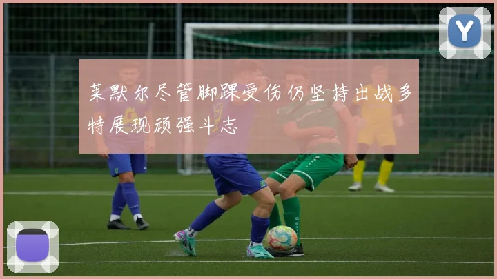 莱默尔尽管脚踝受伤仍坚持出战多特展现顽强斗志