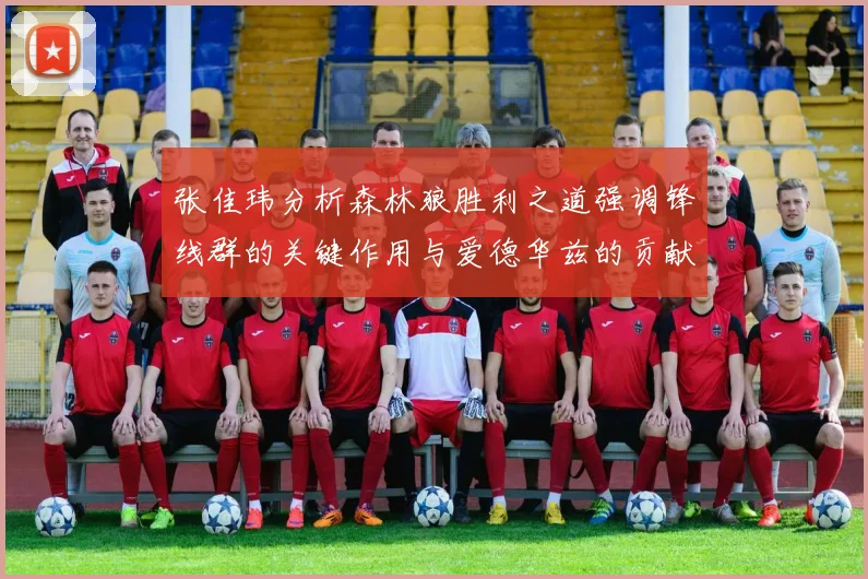 张佳玮分析森林狼胜利之道强调锋线群的关键作用与爱德华兹的贡献