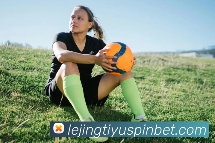 乐竟体育平台生态图